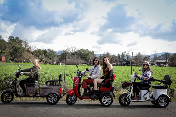 Sonoma Wine Country Electric Trike Tour - 3 hours - Photo 1 of 12